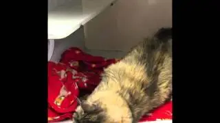 Tubs