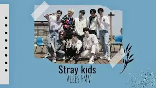 Stray kids ~ FMV - Vibe membros