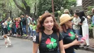 D&iacute;a de San Patricio 🍀 en M&eacute;xico (St Patrick's day in Mexico).