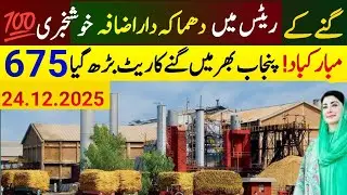 Sugarcane Rate in Pakistan 2025 