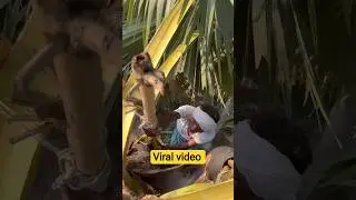 😃INDIAN HEALTHY DRINK 🥤#viralvideo #streetfood #food #viral #satisfying