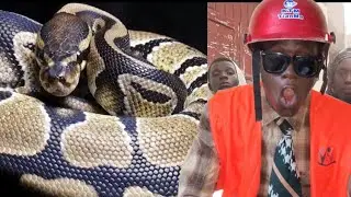 Questions R&egrave;ponses-zalle VS Ndiaye dragon