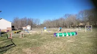 Ren UKI Master Series Agility course by Shane Miller