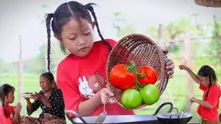 Picks fresh tomatoes to cook with countryside recipe for grandma / Tomato recipe