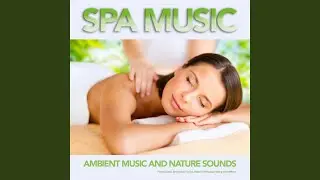 Peaceful Forest Spa Music