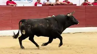 Salida 3&ordm; novillo de AGUADULCE: 