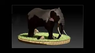 Zbrush speed sculpt ,,Elephant