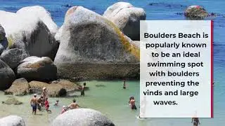 Boulders Beach, Cape Town Guide - What to do, When to visit, How to reach, Cost  Tripspell
