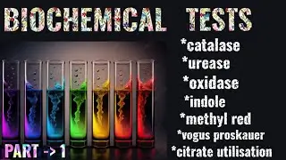 Biochemical Tests.           Part 1