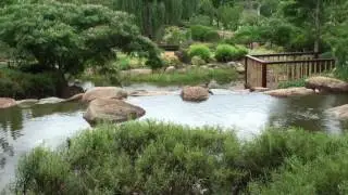Dubbo Shoyoen Japanese Garden
