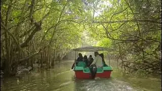 Poovara boating, Trivendrum (Kerala)