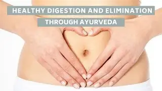 Healthy Digestion System |  Healthy Happy Gut Summit Ayurveda with Dr. Marc Halpern
