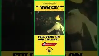 Gemini Sound System ft Welton Irie, Johnny Ringo, Squiddly Ranks 1983 Live #Music #Shorts pt1