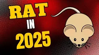 Zodiac “RAT” in 2025