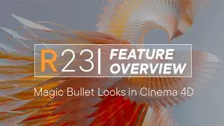 MAXON | Magic Bullet Looks now in Cinema 4D!