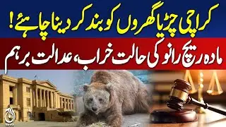 Karachi Zoo Bear Rano Health | Sindh High Court Orders Action | Animal Welfare - Pakistan news