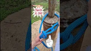 The Most Essential Knot  | Camping Knot #shorts #knowledge #diy #how #shortvideo #rope #camping