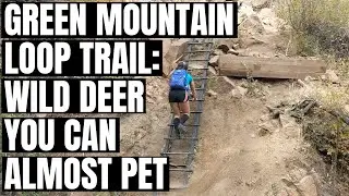 Exploring Green Mountain Loop Trail | Hiking Boulder Colorado | Boulder Open Space | Chatauqua Park