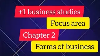 plusone business studies || focus area || forms of business organization