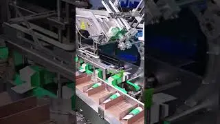 Automatic Ointment Tube Cartoner | Leaflet Insertion, Vision Check & GMP-Ready
