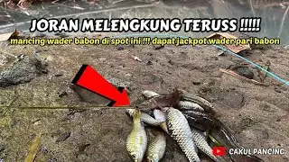MANCING WADER DI SPOT INI !!! DAPAT JACKPOT WADER PARI BABON !!!!!
