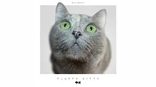 Wyldwolf - Fluffy Kitty