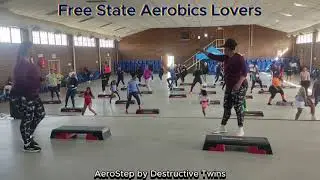 Aerobics Step by Destructive Twins