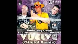 Jhota Boy Color Feat. El Bird & Wario- Vuelve Official Remix