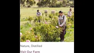 Jurlique Case Video Responsible Leadership and Sustainability