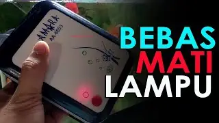 Review Aerator Baterai Amara A6603 AC/DC: Jangan Sampai Ikan Mas Koki Mati Gegara Listrik PLN Padam