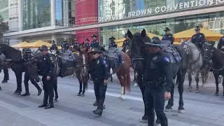 3 new officers join Houston Police Department's mounted patrol division