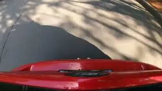 Focus ST custom EDGE Autosport crackle tune