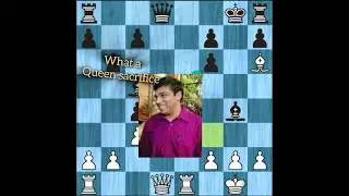 || Anand Shocks Magnus with Queen Sacrifice! ♛🔥 || #chess #chessshorts #shorts