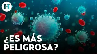 ¡Regresa el Coronavirus!: Conoce los síntomas de Eris, la nueva variante del COVID-19