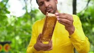 Here's What Makes Sri Lankan Bee Honey Unique