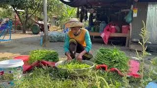 I'm delivering cauliflower to Wat Boeung Raing