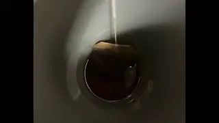 sipping tea
