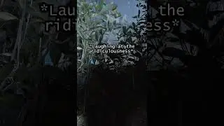 Отличные рефлексы #arcraiders #arcraidersgameplay #funny #gaming