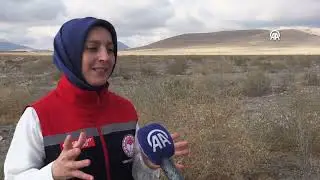 Karaman'a tuz çalısı geldi