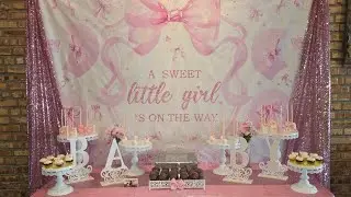 Baby Shower/A Sweet Little Girl is on the Way Theme
