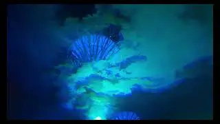 Borealis