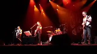 Sunshine of your love Cream cover by Stocksons