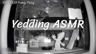 도마뱀과 함께 즐기는 빗소리 ASMR_룽지 (공부할 때 힐링하면서 들어요❤️)