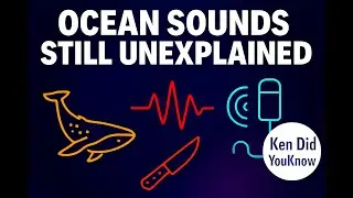 10 Ocean Sounds Scientists Still Can&rsquo;t Explain