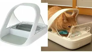 Surefeed Distributeur de Nourriture &agrave; Puce &Eacute;lectronique pour Chat et Petit Chien