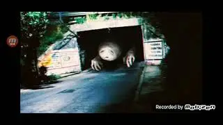 song about Bridge worm