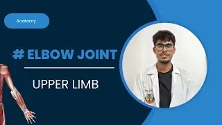 Elbow joint 📚.  /// by Suresh Patel 