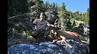 2020 Utah Archery Deer Hunt