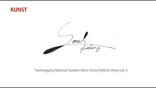 Soul Fishing-Taehwagang National Garden Silver Grass Field in Ulsan city 2