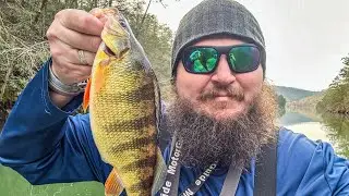 New World Record Perch